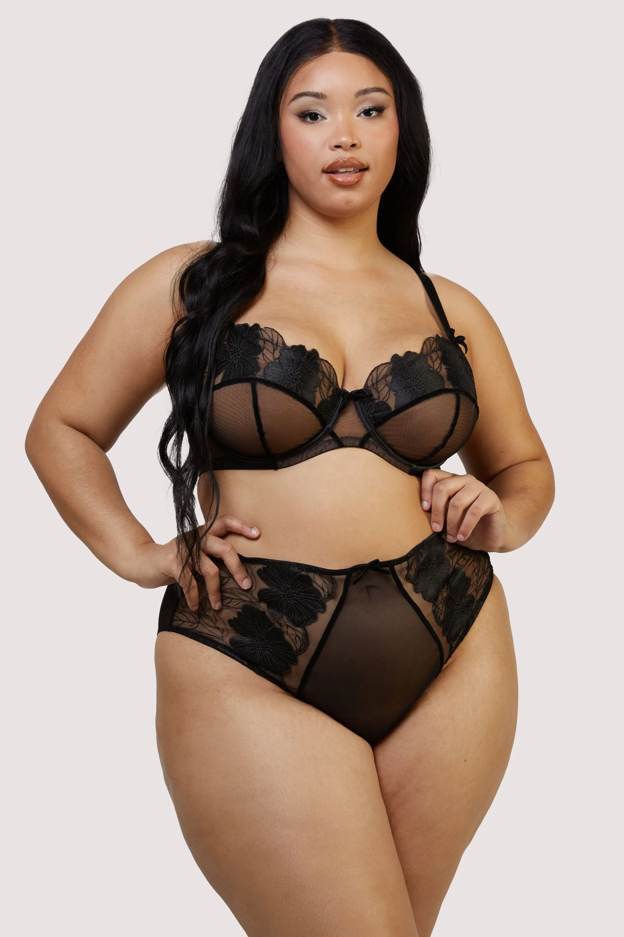 Annika Black Mesh and Embroidered High Waisted Brief