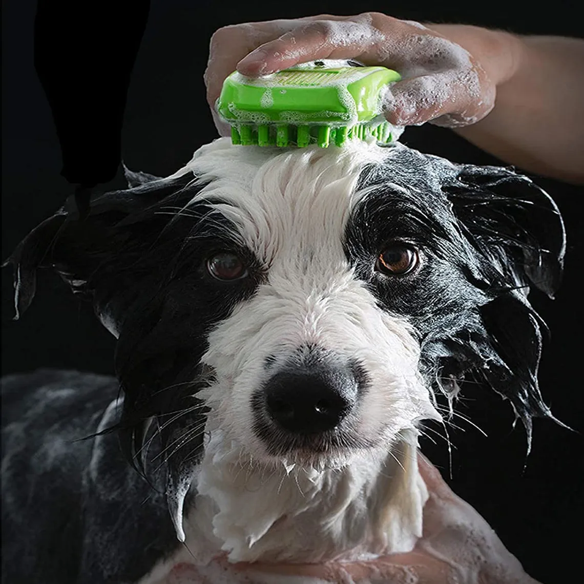 Pet Grooming Massage Brush Short or Long Hair 2 Colours